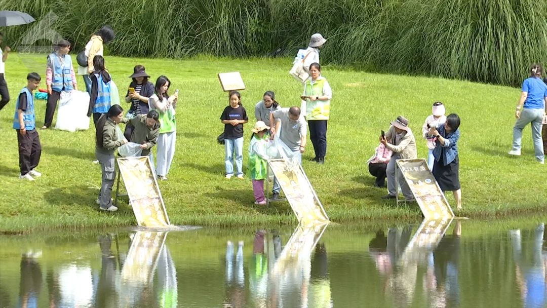 8099999街头巷尾微信