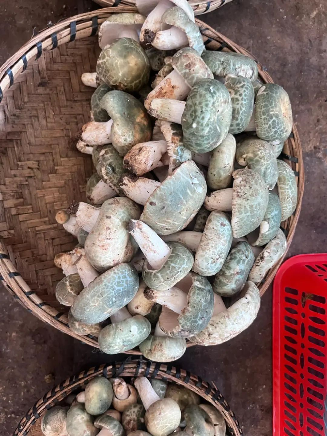 FM954汽车音乐广播