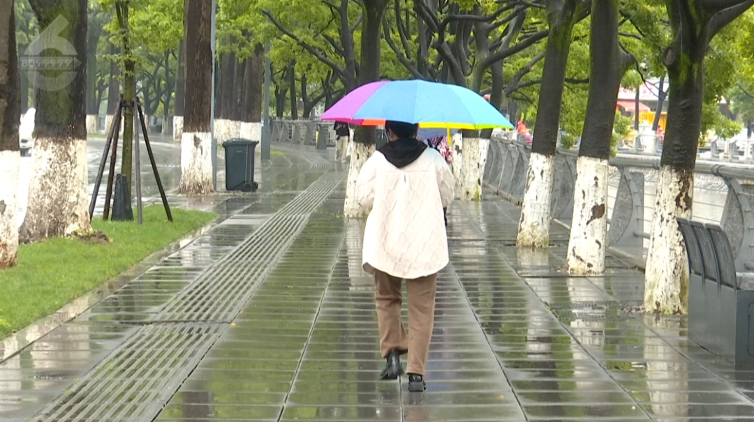 8099999街头巷尾微信