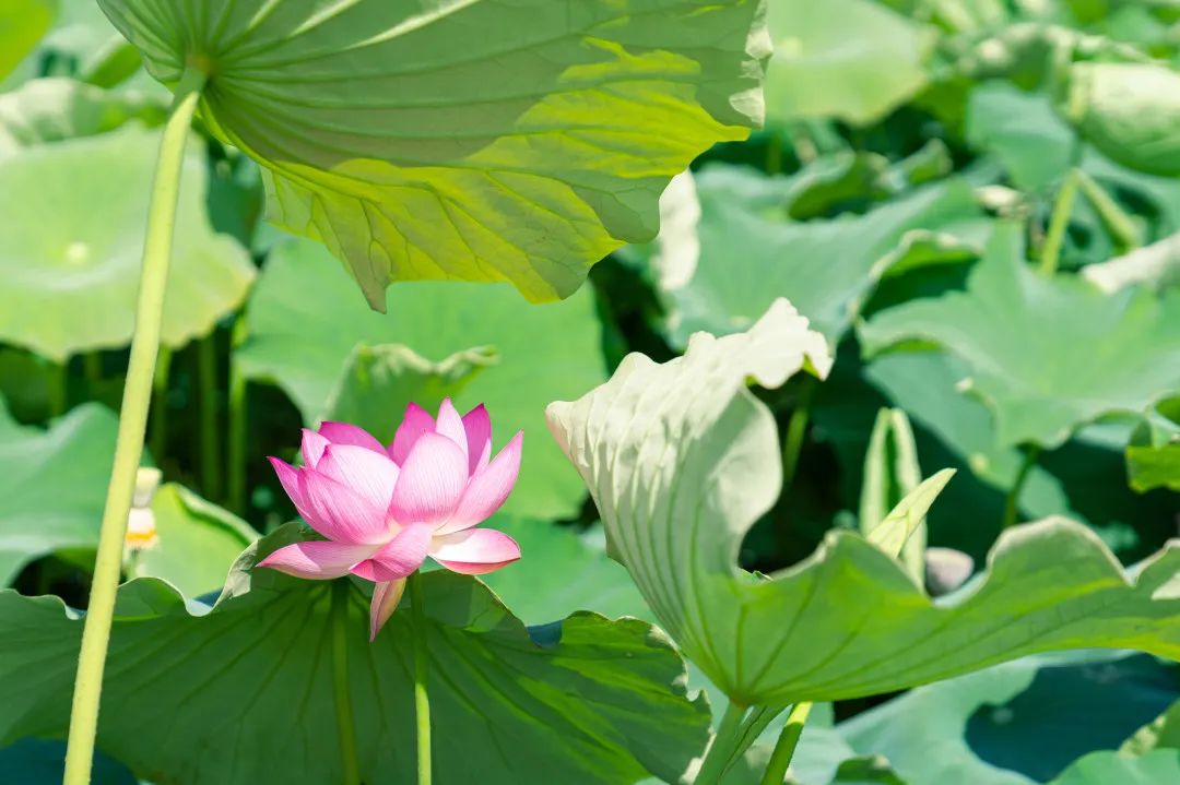 晋宁 诗意的栖居地