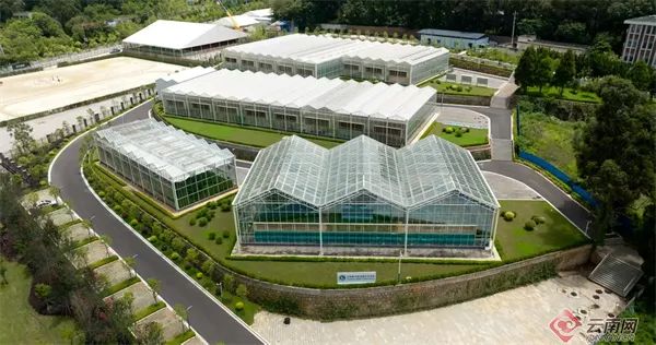 美丽云南微科普