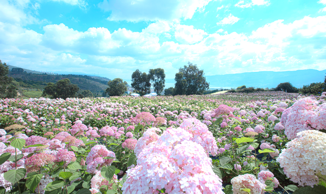 昆明阳宗海风景名胜区