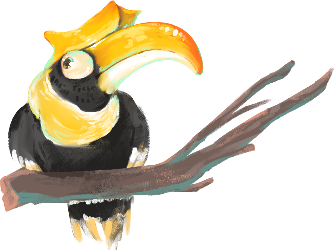 云南野生动物园