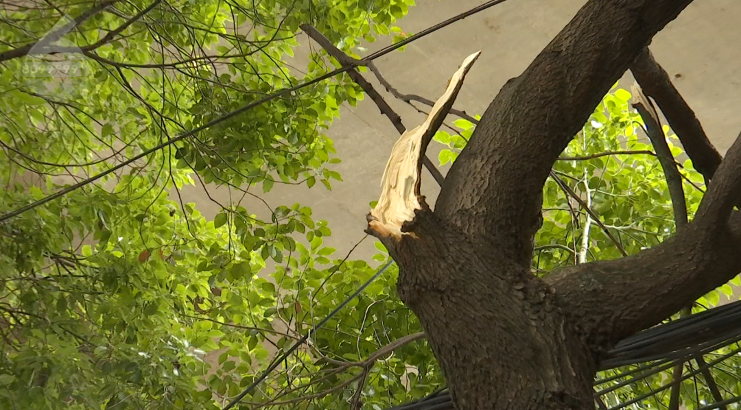 8099999街头巷尾微信