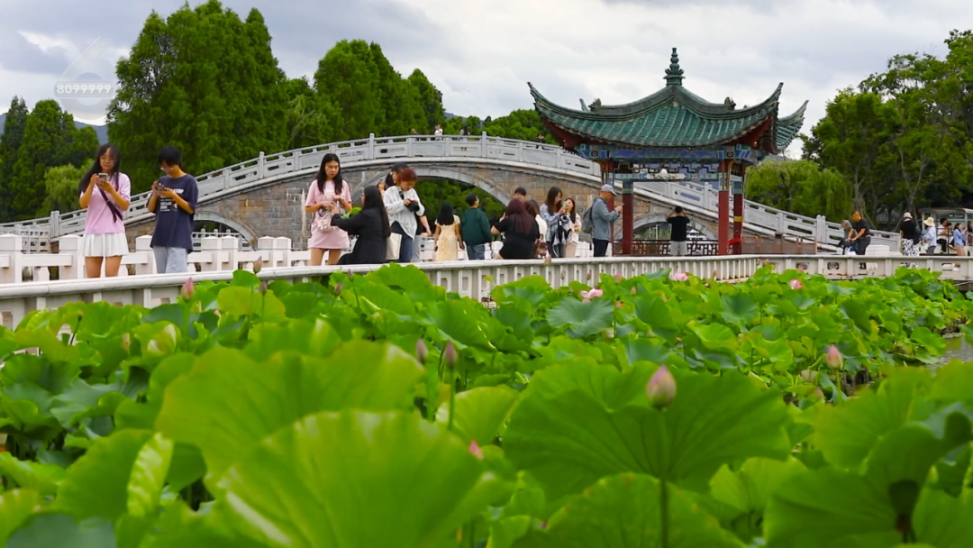 8099999街头巷尾微信