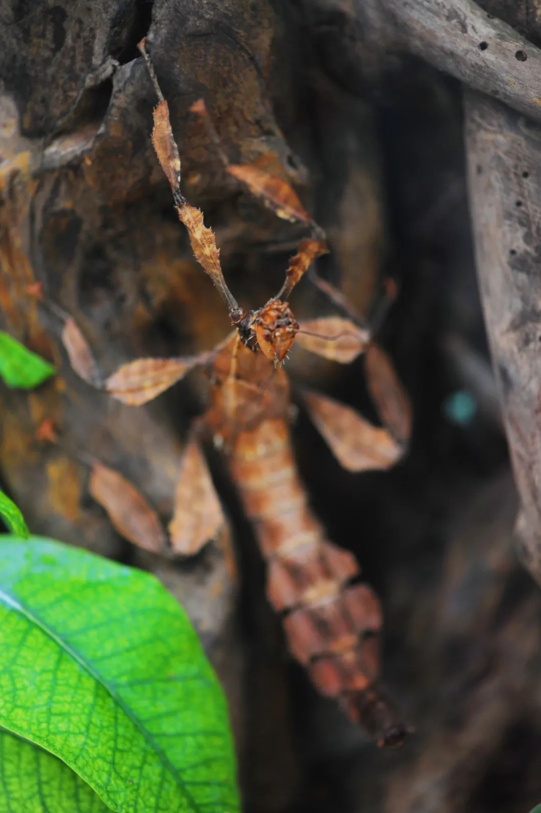 昆明市金殿名胜区