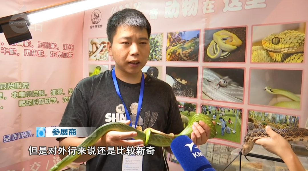 8099999街头巷尾微信