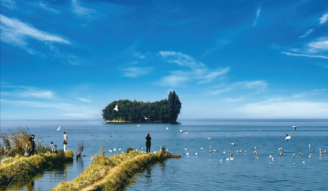 8099999街头巷尾微信