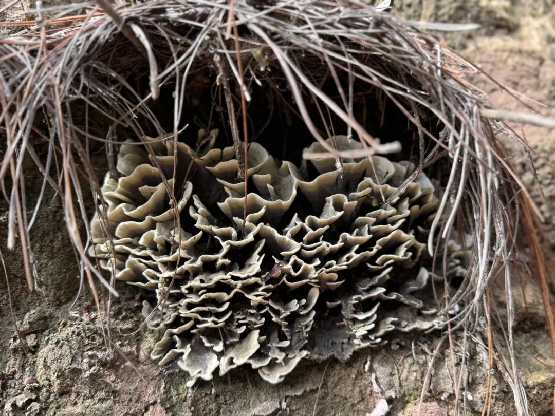 晋宁 诗意的栖居地