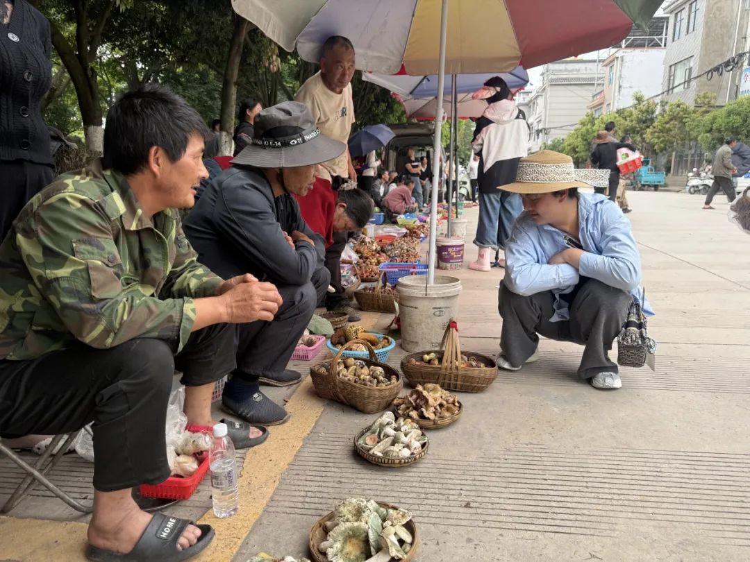 晋宁 诗意的栖居地