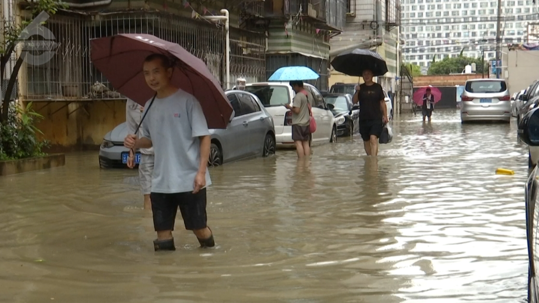 8099999街头巷尾微信