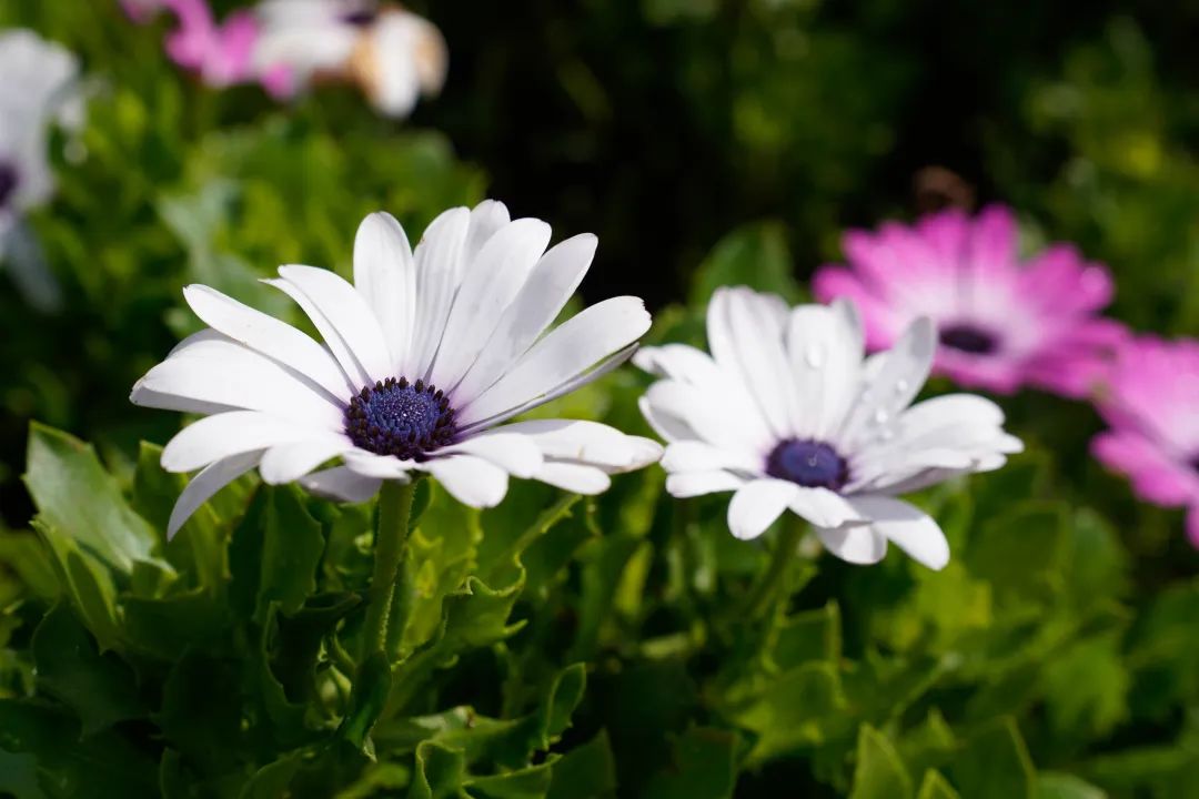 晋宁 诗意的栖居地