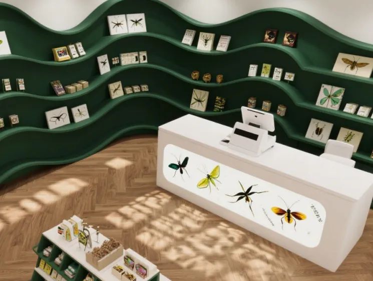 西双版纳望天树景区