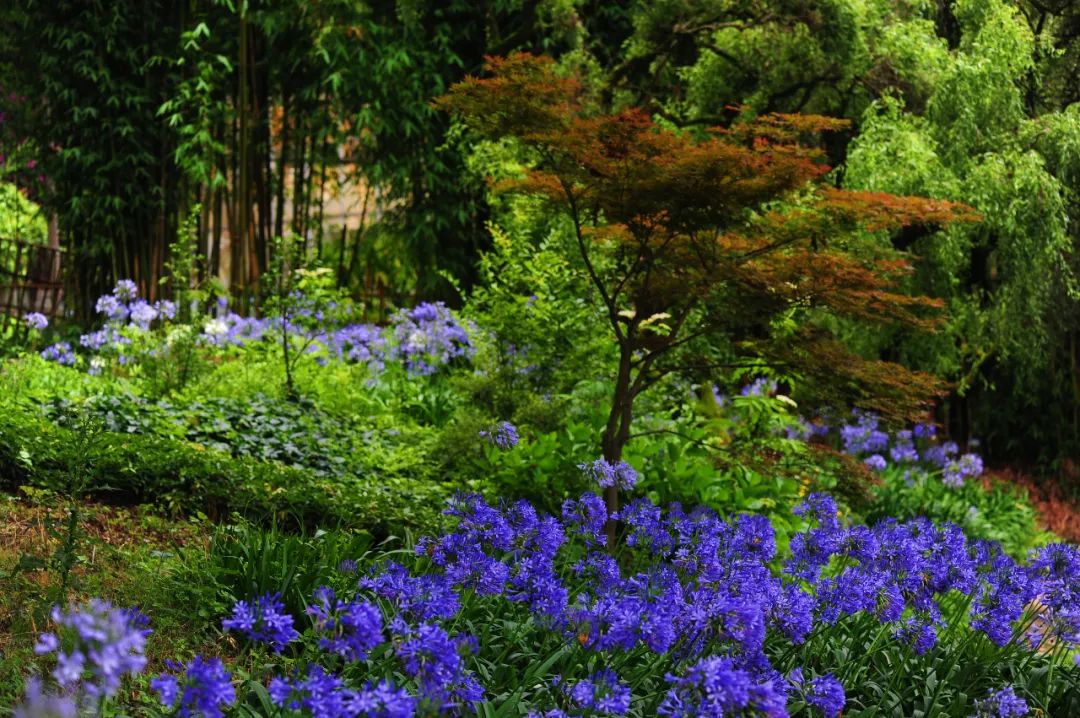 昆明市金殿名胜区