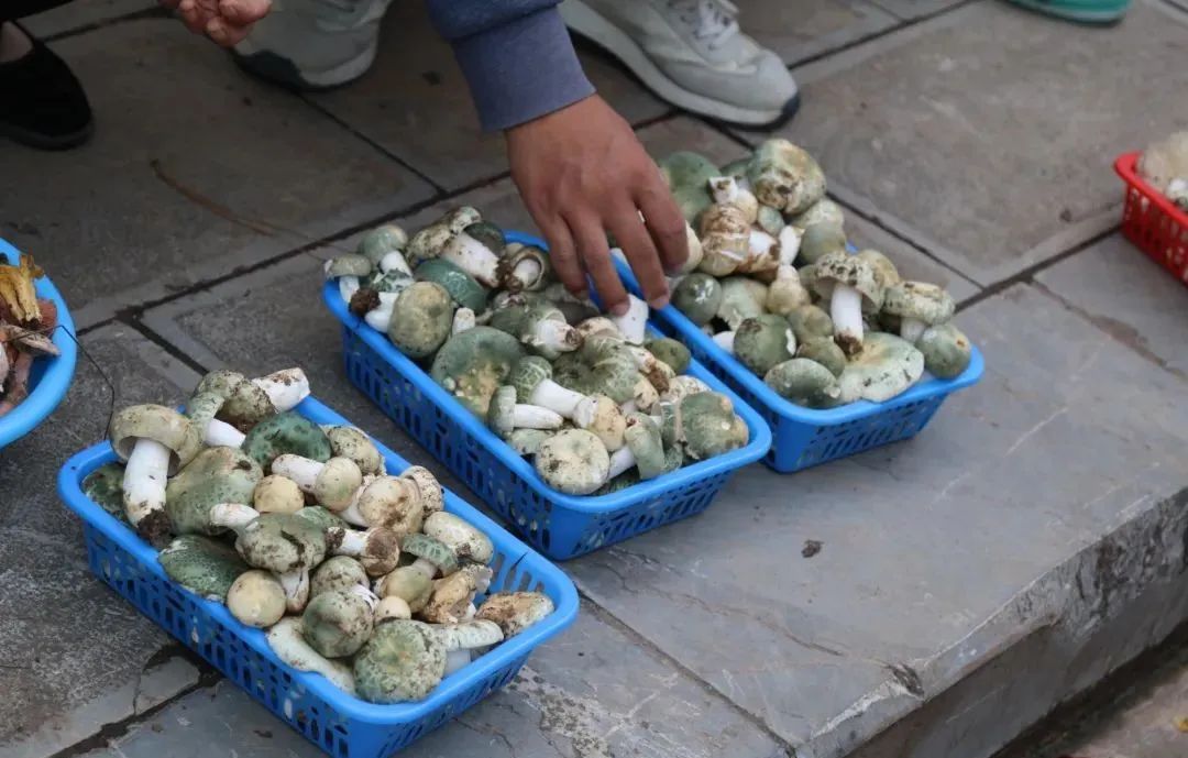 晋宁 诗意的栖居地