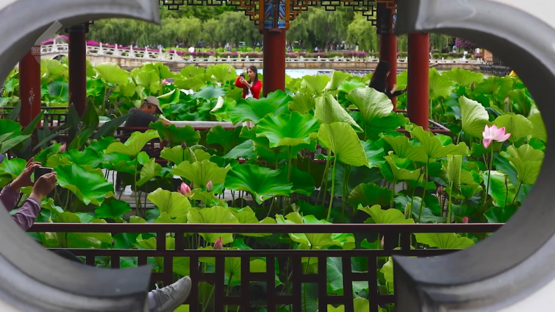 8099999街头巷尾微信