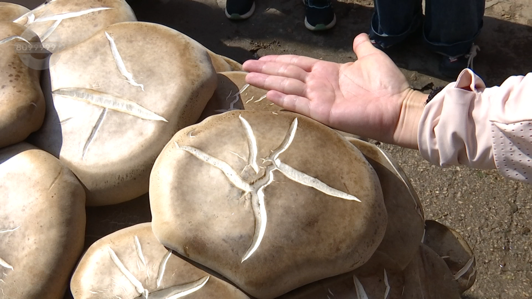 昆明广播电视台