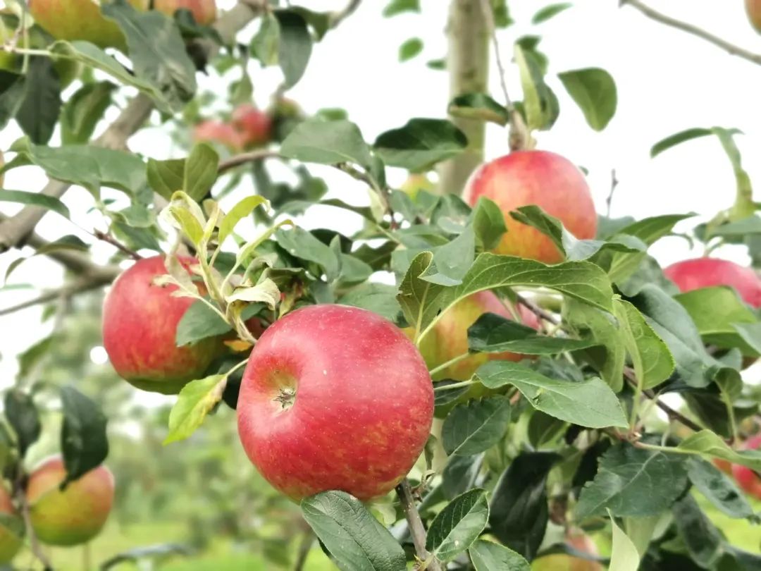 晋宁 诗意的栖居地