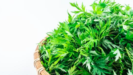 昆明市中医医院