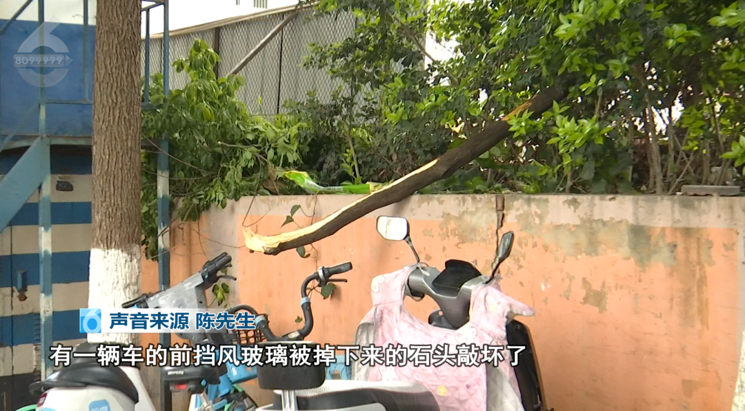 8099999街头巷尾微信