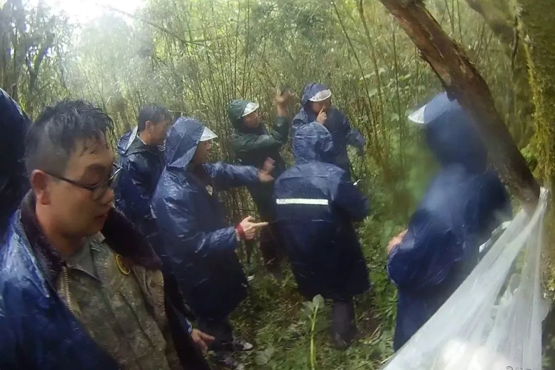 8099999街头巷尾微信