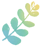 昆明广播电视台经济生活频道