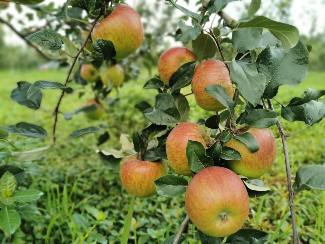 晋宁 诗意的栖居地