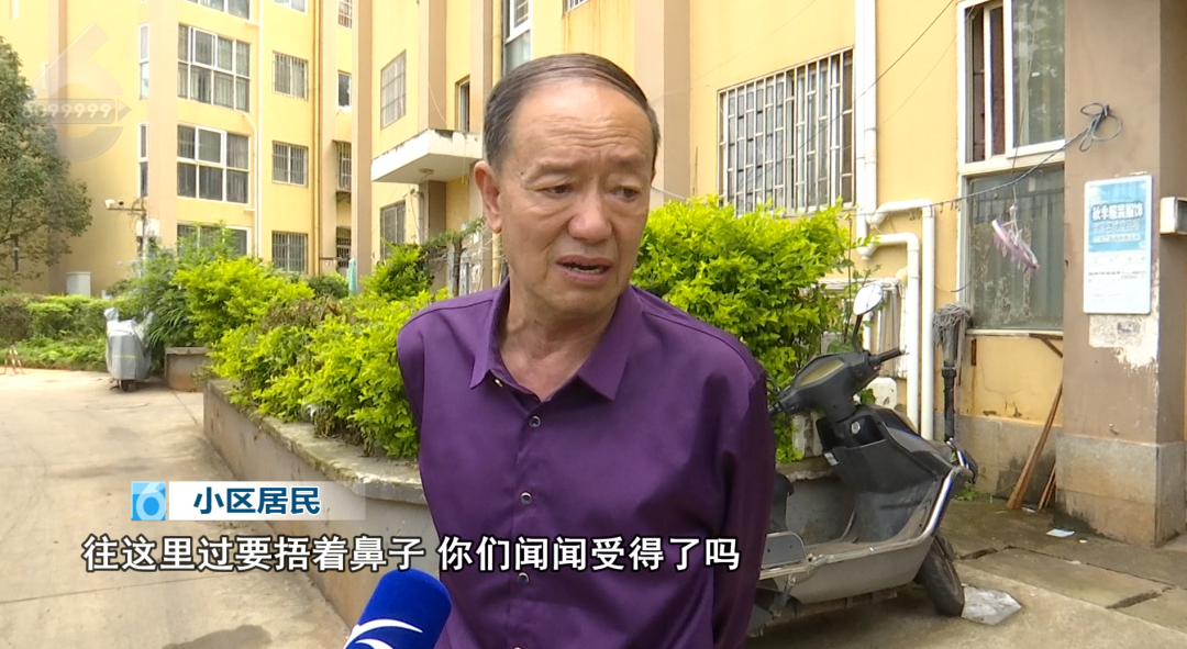 8099999街头巷尾微信