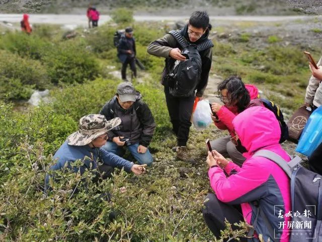 美丽云南微科普