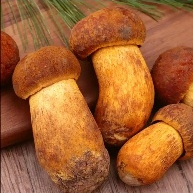 昆明市中医医院