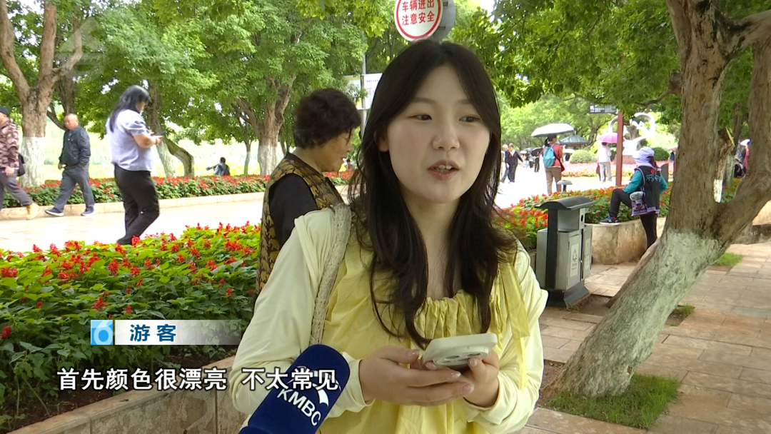 8099999街头巷尾微信