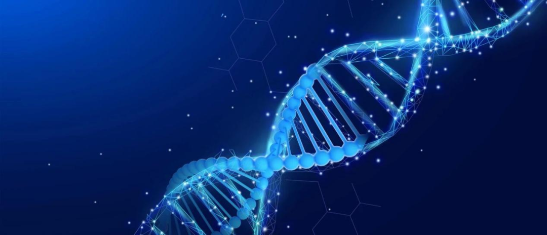 云南省文山州人民医院