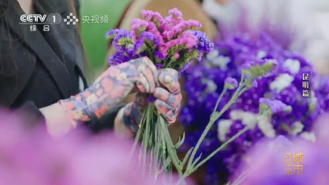 FM954昆明汽车音乐广播