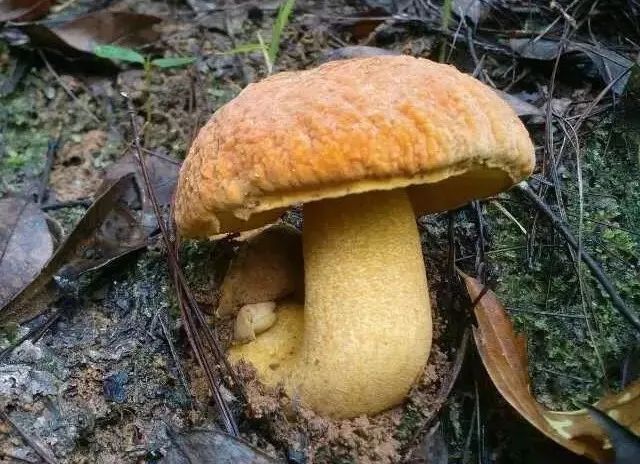 晋宁 诗意的栖居地