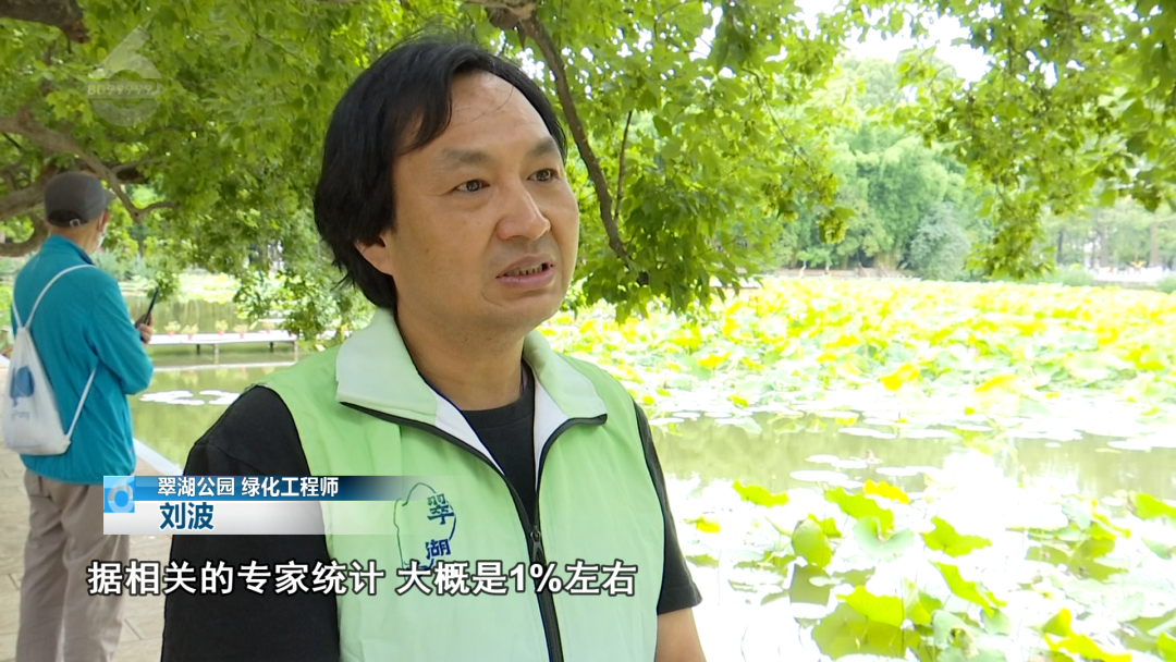 8099999街头巷尾微信