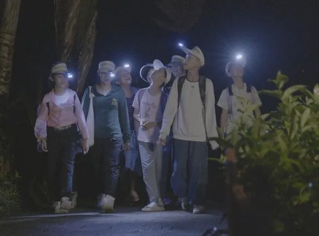 西双版纳望天树景区