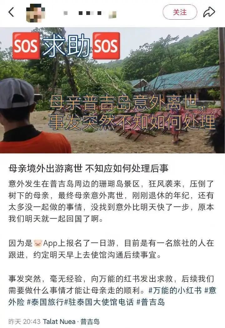 掌上春城微信