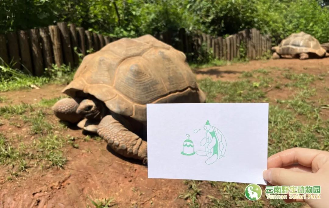 云南野生动物园