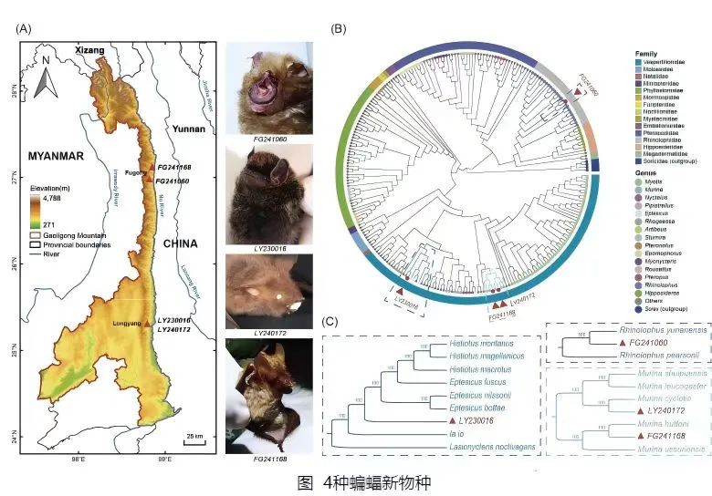 美丽云南微科普