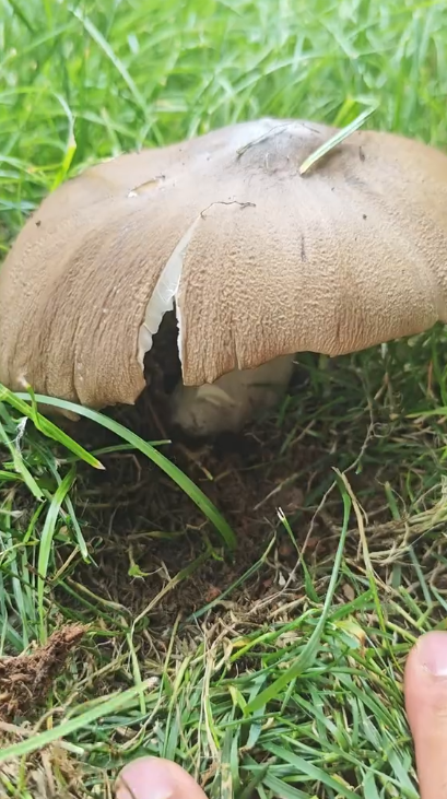 8099999街头巷尾微信