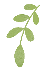 云南省中医医院