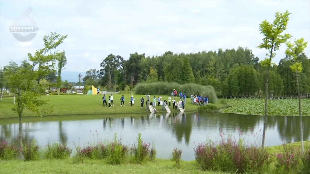 8099999街头巷尾微信