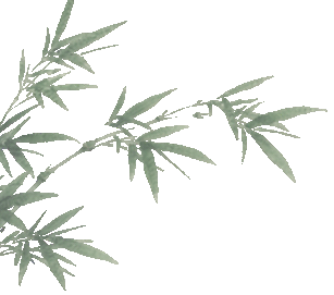 普洱市人民医院