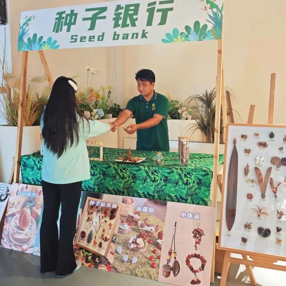 西双版纳望天树景区