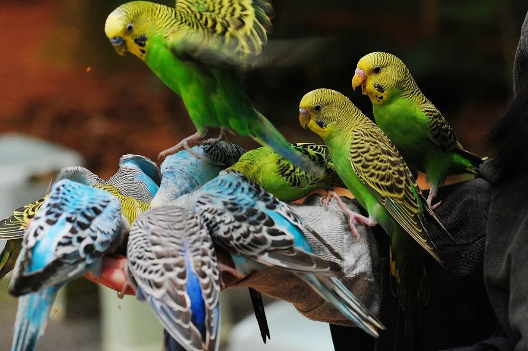 昆明市金殿名胜区