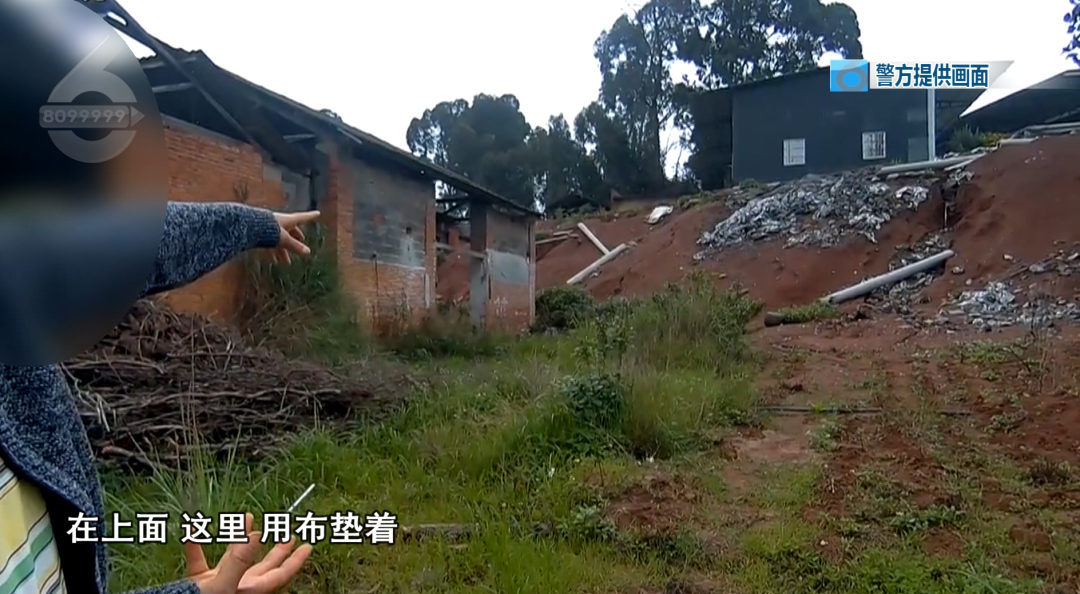 8099999街头巷尾微信