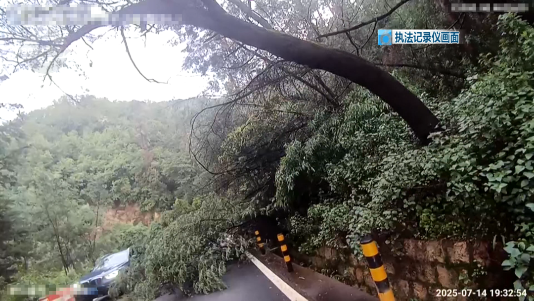 8099999街头巷尾微信