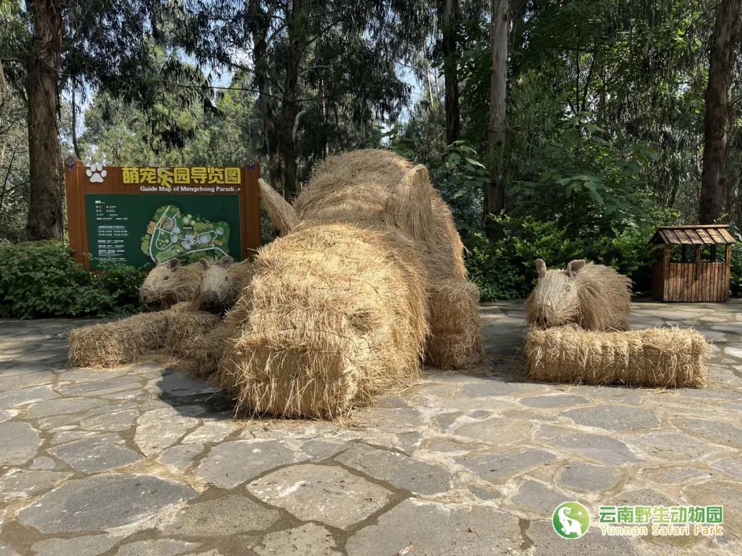 云南野生动物园