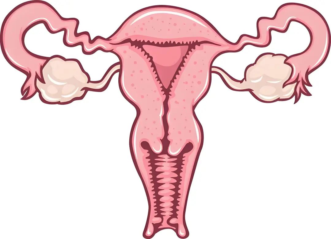 昆明市妇幼保健院