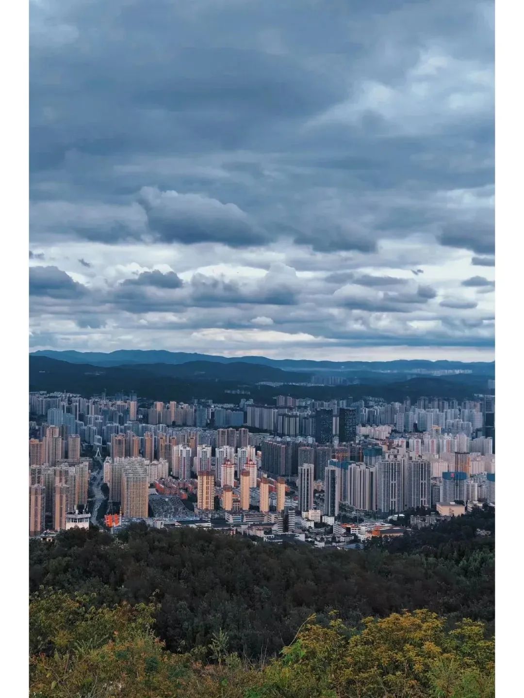 8099999街头巷尾微信